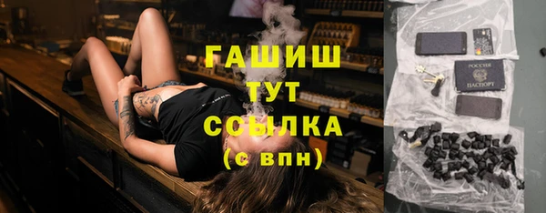 тгк Дмитриев