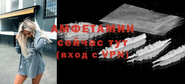тгк Дмитриев