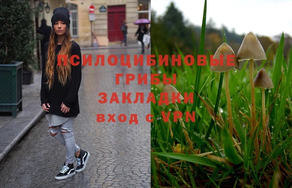 тгк Дмитриев