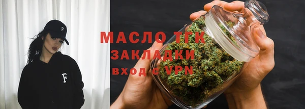 тгк Дмитриев