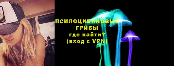 винт Дмитров