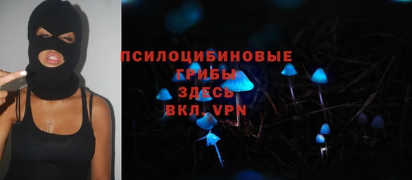тгк Дмитриев