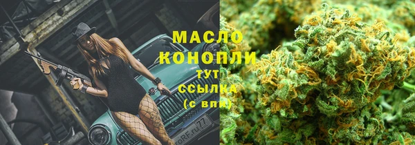 винт Дмитров