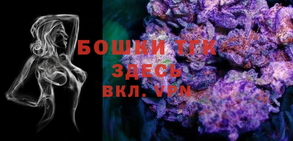 тгк Дмитриев
