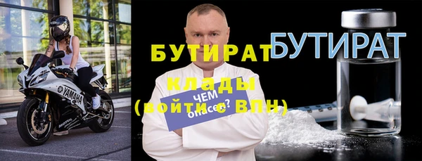 тгк Дмитриев